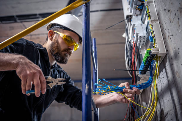 Best Licensed Electrician  in Alamo, TX