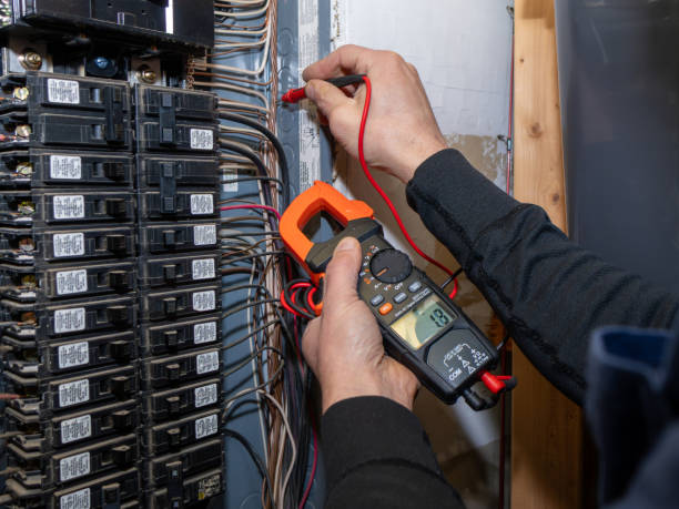 Best Electric Panel Repair  in Alamo, TX