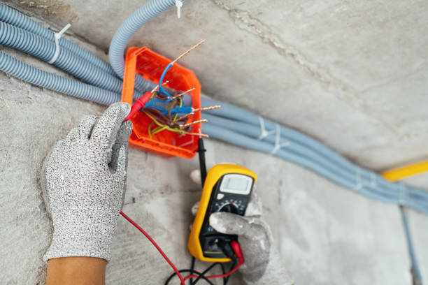 Best Electrician for Home Renovation  in Alamo, TX